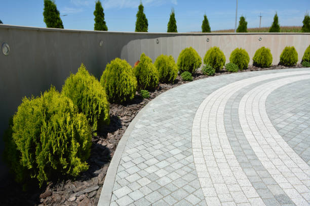 Best Concrete Paver Driveway  in Greenfield, MO